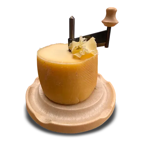 Cabeza de monje en girolle